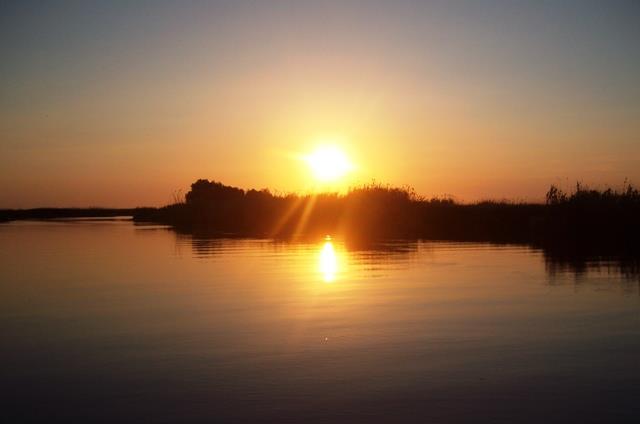 Doar ...  NATURA - sany6794.JPG